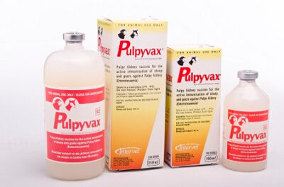 Pulpyvax