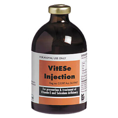 VitEse Injection 100ml